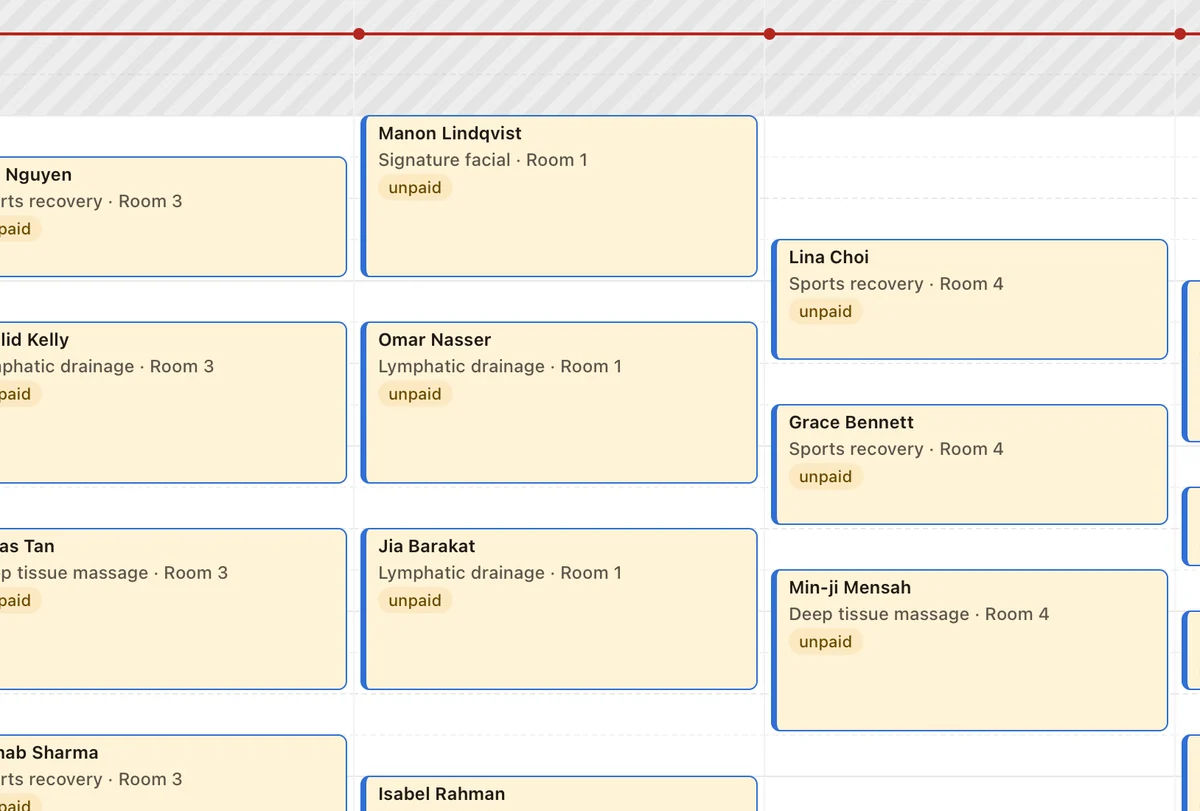 Pebble's calendar for one day: a column per therapist, each visit showing the client, treatment and room.